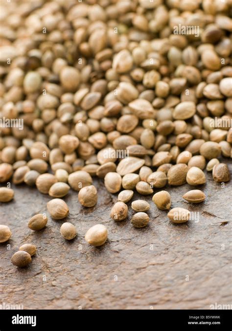 are green lentils similar to puy lentils